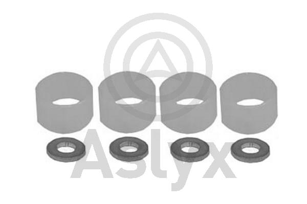 Repair Kit, injection nozzle (AS-521015)