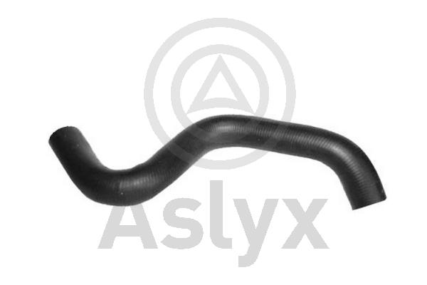 Radiator Hose (AS-204217)