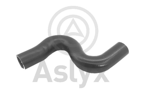 Radiator Hose (AS-203591)