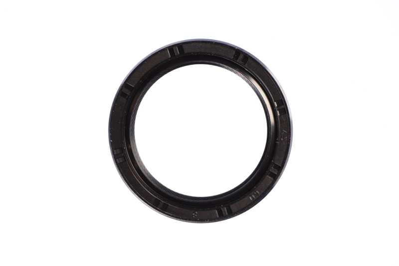 Shaft Seal, differential (AZMT-40-050-1074)