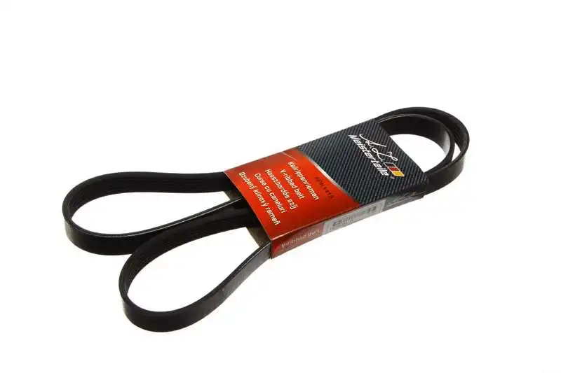 V-Ribbed Belt (AZMT-20-033-1569)