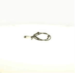 Sensor, wheel speed (AZMT-49-020-1286)