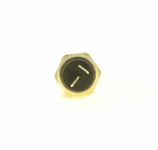 Sensor, coolant temperature (AZMT-49-020-3214)