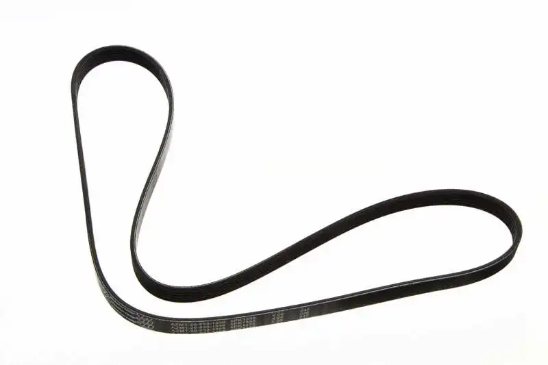 V-Ribbed Belt