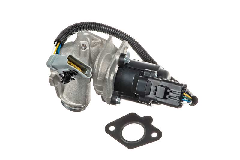 EGR Valve