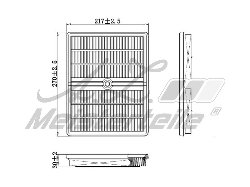 Air Filter (AZMT-41-030-1991)