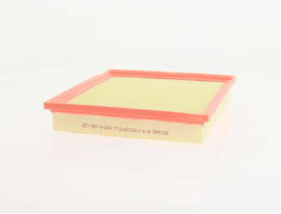 Air Filter (AZMT-41-030-1335)