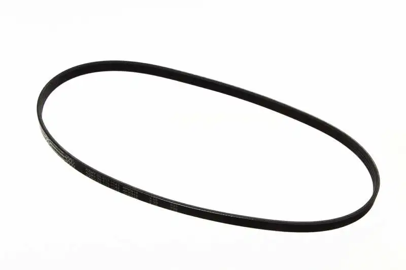 V-Ribbed Belt