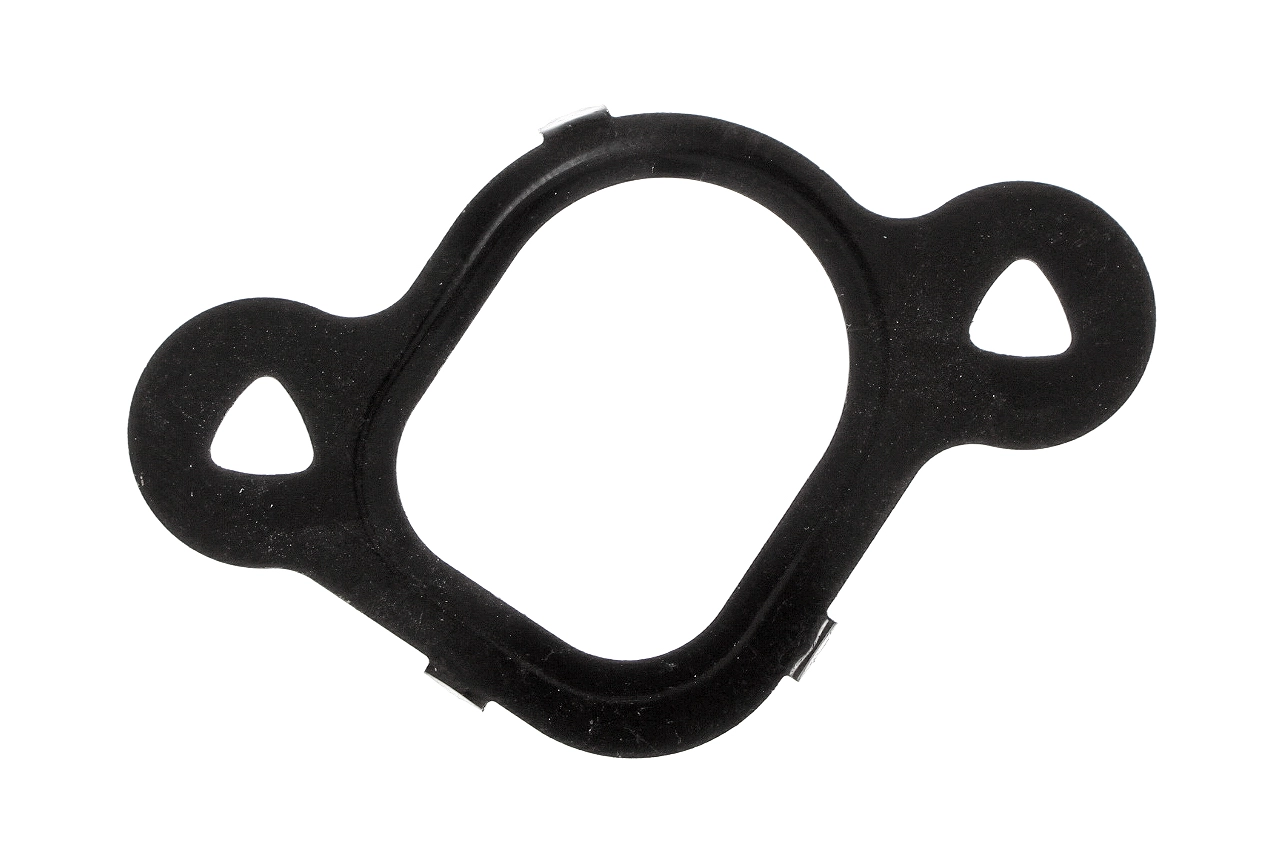 Gasket, intake manifold (AZMT-52-027-1042)