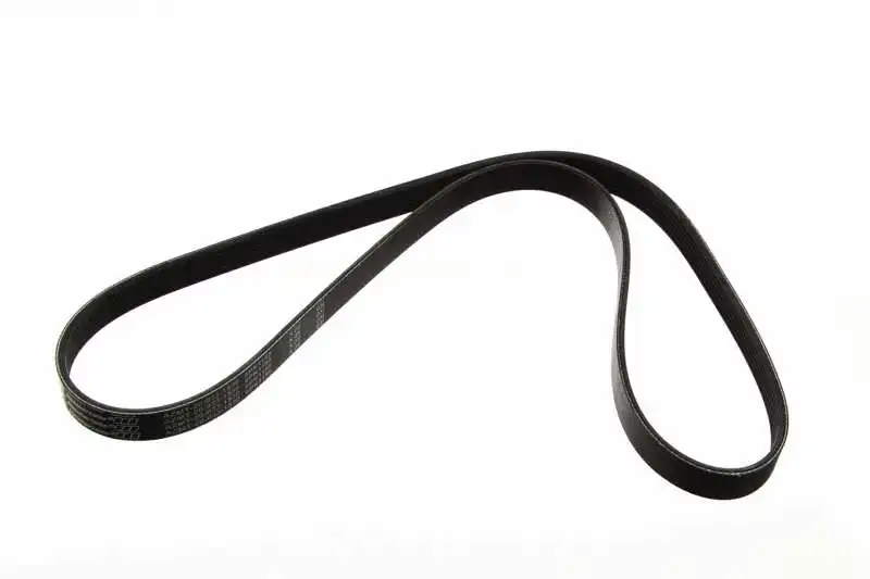 V-Ribbed Belt