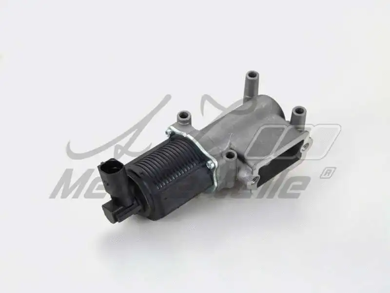 EGR Valve (AZMT-30-010-1128)