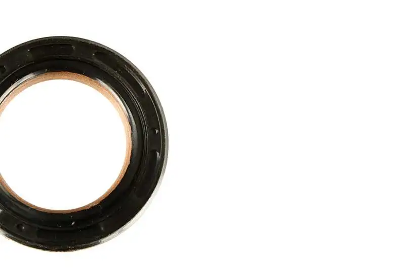 Shaft Seal, crankshaft (AZMT-40-050-1017)