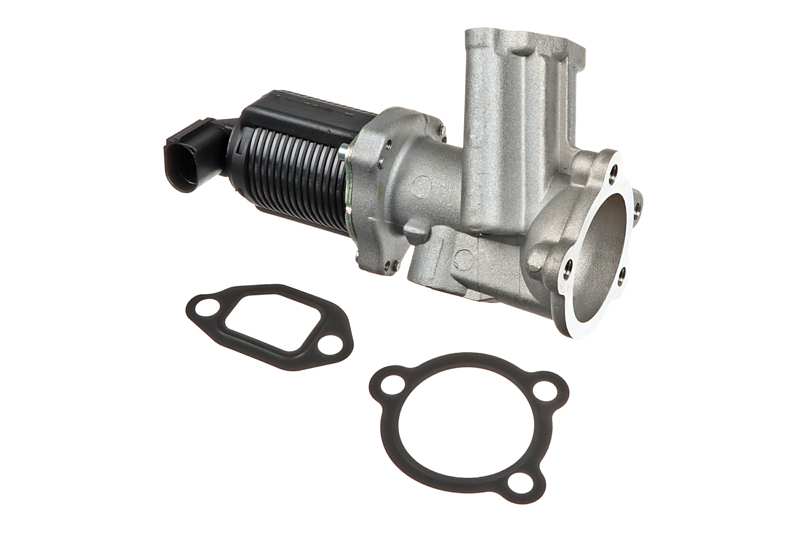 EGR Valve
