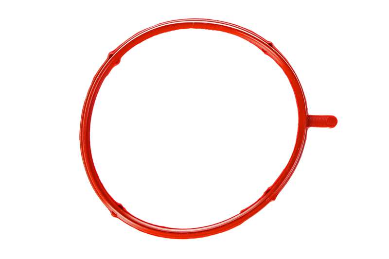 Gasket, intake manifold housing (AZMT-52-028-1016)
