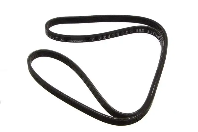 V-Ribbed Belt