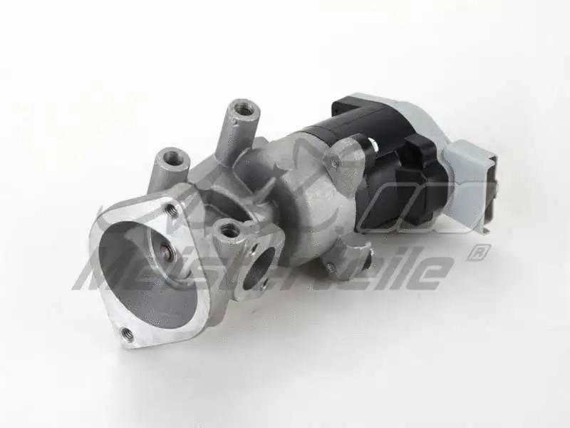 EGR Valve (AZMT-30-010-1117)