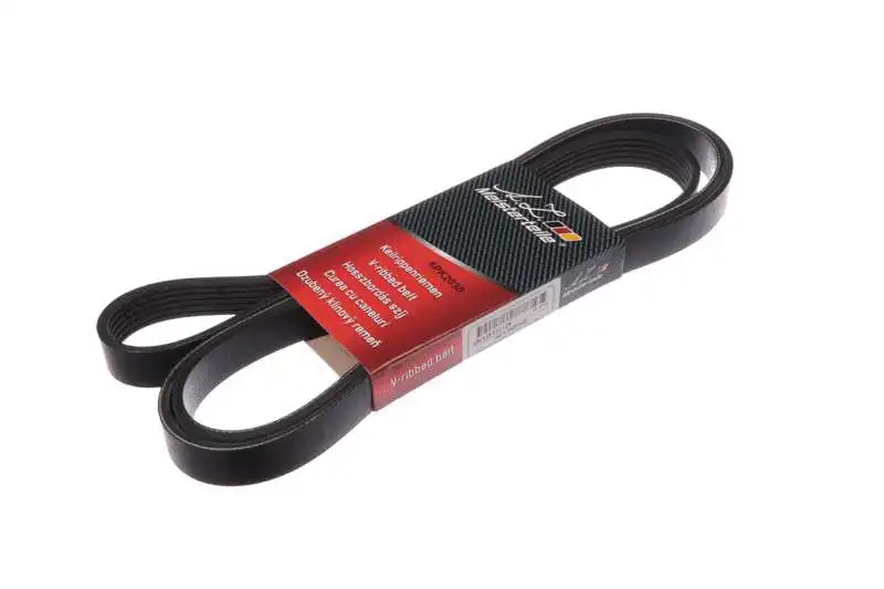 V-Ribbed Belt (AZMT-20-033-1682)
