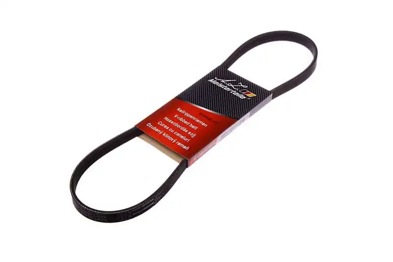 V-Ribbed Belt (AZMT-20-033-1117)