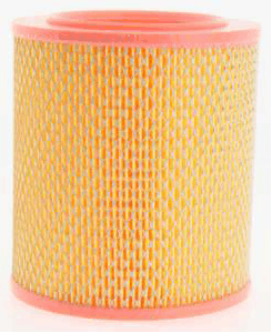 Air Filter (AZMT-41-030-1421)