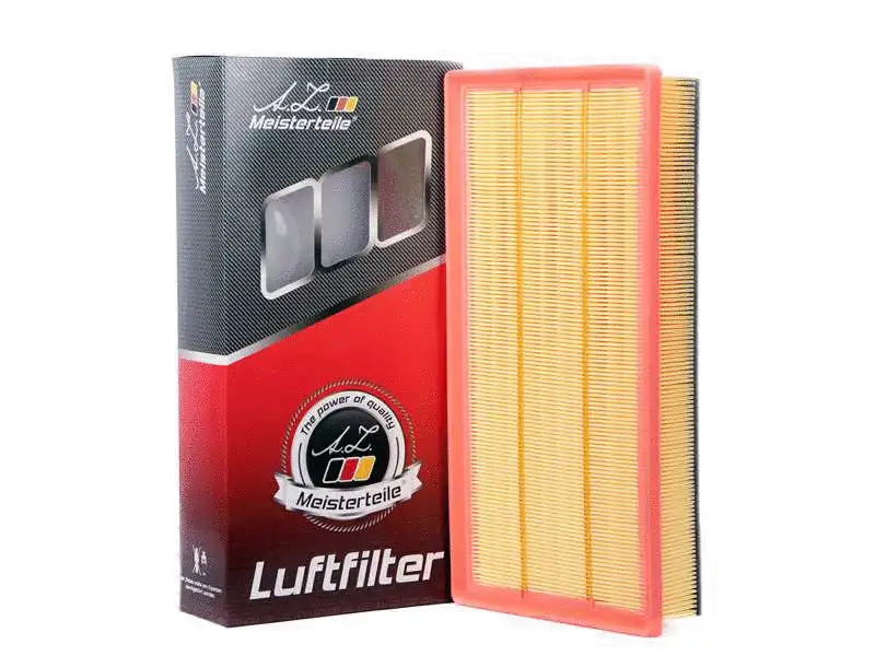 Air Filter (AZMT-41-030-1118)