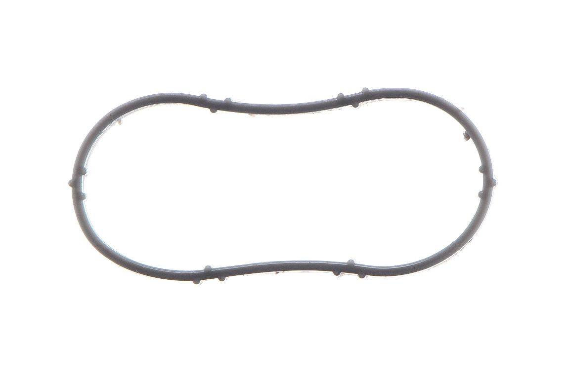 Gasket, intake manifold (AZMT-52-027-1005)