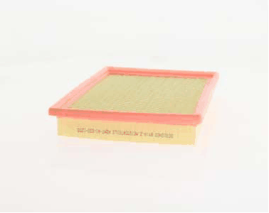 Air Filter (AZMT-41-030-1255)