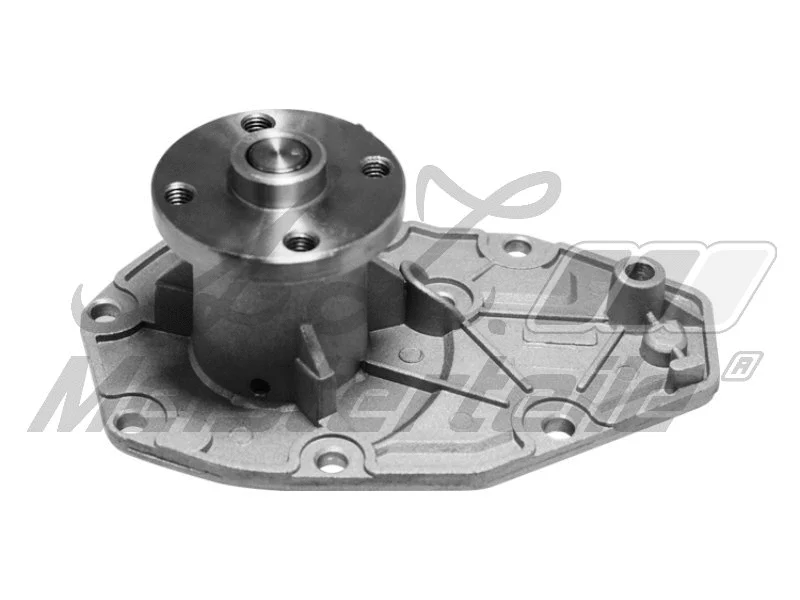 Water Pump, engine cooling (AZMT-30-100-1290)