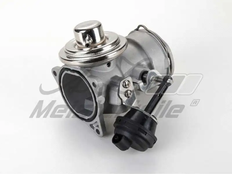 EGR Valve (AZMT-30-010-1112)