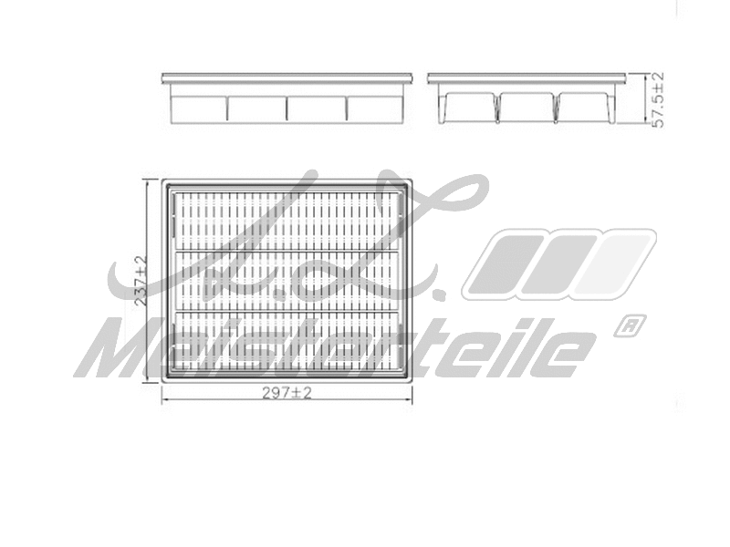 Air Filter (AZMT-41-030-2006)