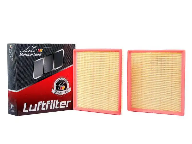 Air Filter (AZMT-41-030-1691)