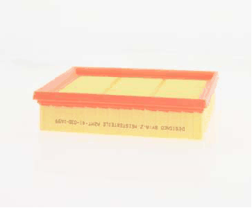 Air Filter (AZMT-41-030-1659)