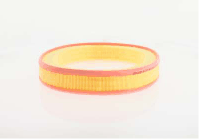 Air Filter (AZMT-41-030-1614)
