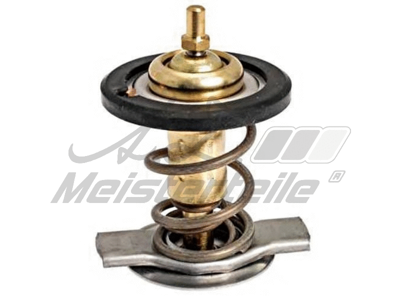 Thermostat, coolant (AZMT-46-040-2170)