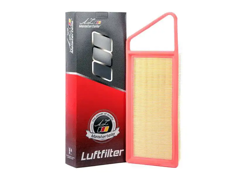 Air Filter (AZMT-41-030-1298)