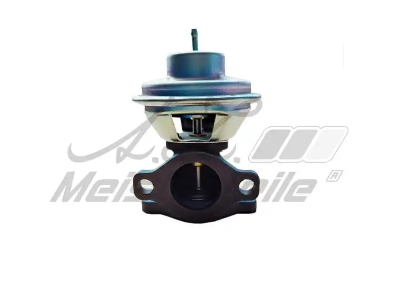 EGR Valve (AZMT-30-010-1119)