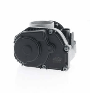 Throttle Body (AZMT-49-020-4008)