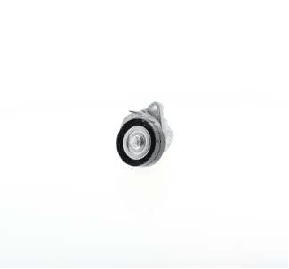 Deflection/Guide Pulley, V-ribbed belt (AZMT-20-031-1531)