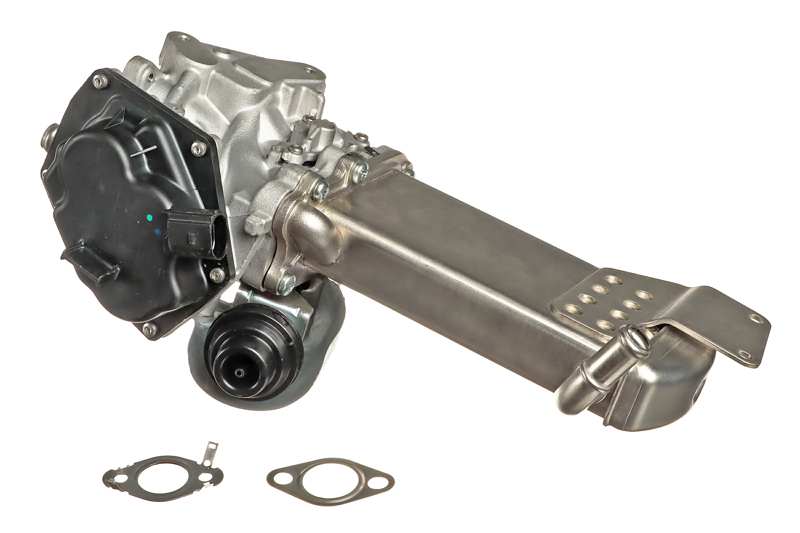 EGR Module