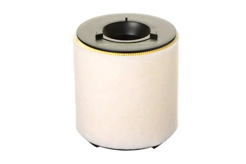 Air Filter (AZMT-41-030-1137)