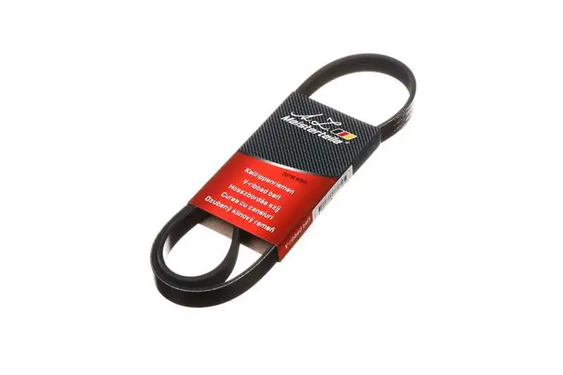 V-Ribbed Belt (AZMT-20-033-1298)