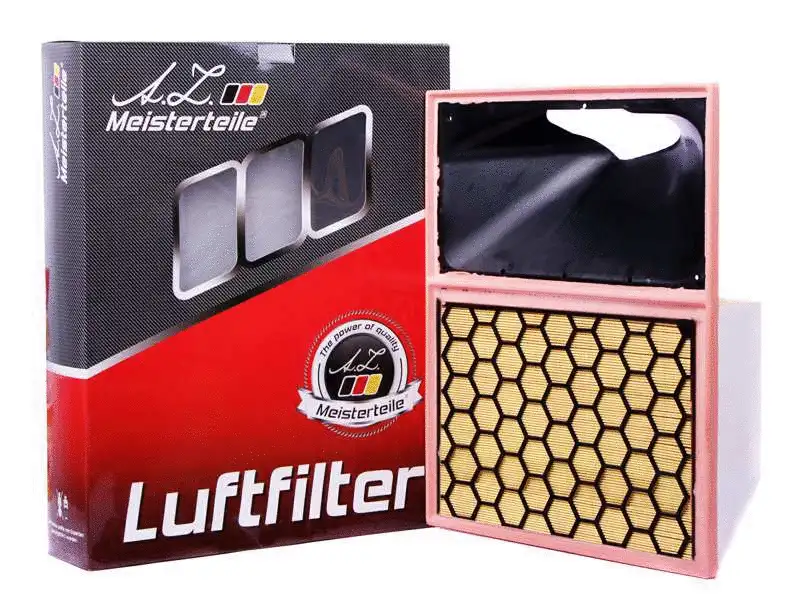 Air Filter (AZMT-41-030-1417)