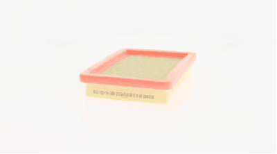 Air Filter (AZMT-41-030-1918)