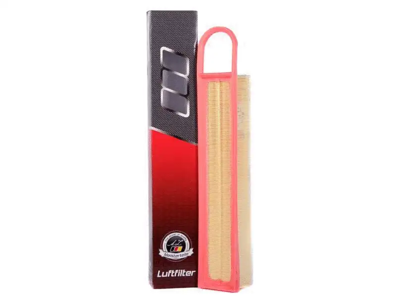 Air Filter (AZMT-41-030-1561)