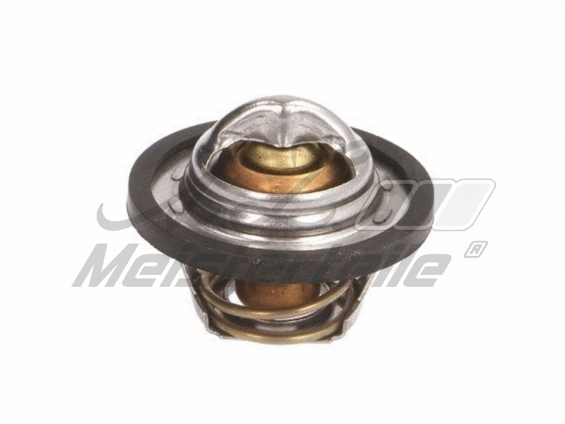 Thermostat, coolant (AZMT-46-040-2142)