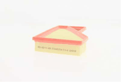 Air Filter (AZMT-41-030-1528)