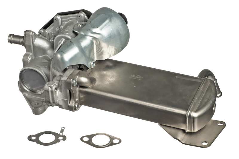 EGR Module