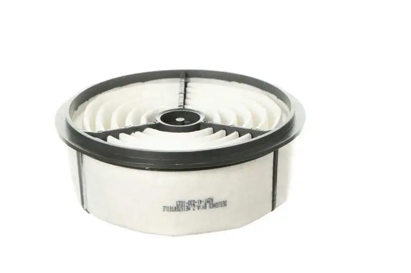 Air Filter (AZMT-41-030-1023)