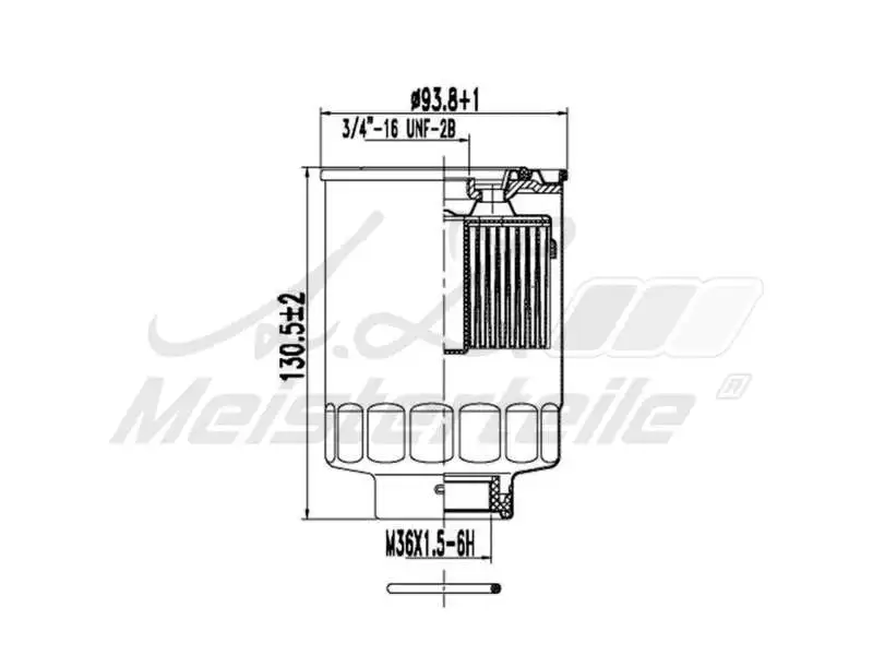 Fuel Filter