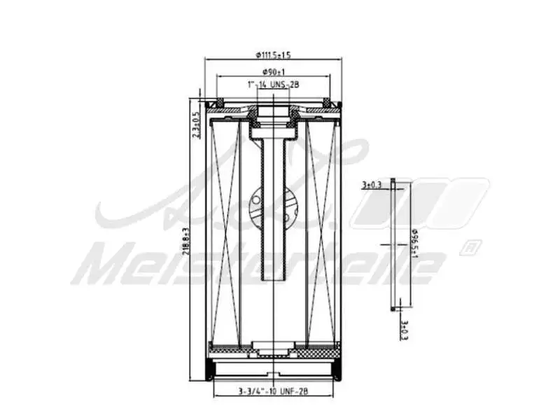 Fuel Filter (AZMT-41-020-1407)