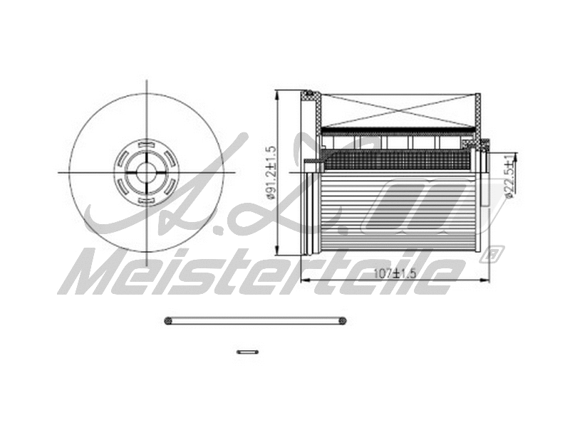 Fuel Filter (AZMT-41-020-1419)
